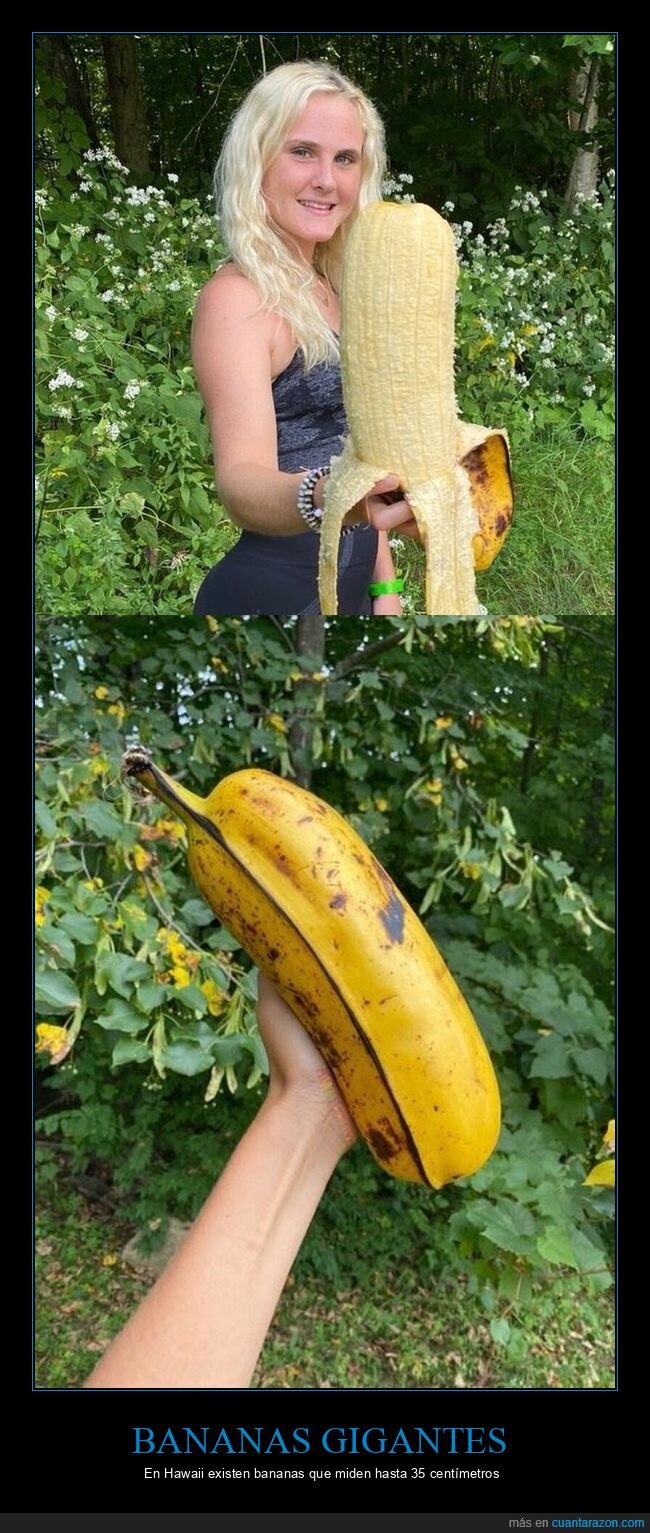 pl&aacute;tano,expectativa,decepci&oacute;n,Hawaii,realidad