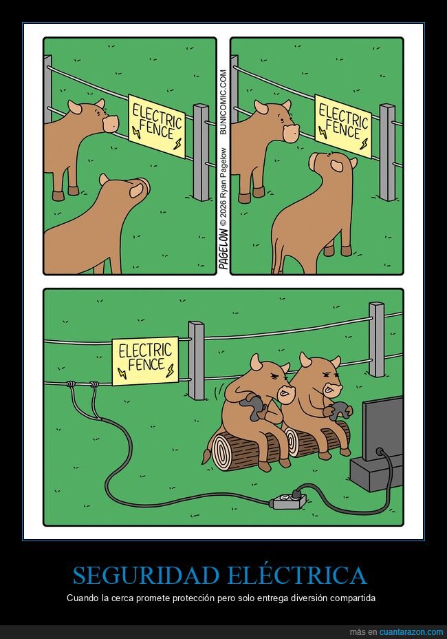 electricidad,animales,accidente,consecuencias,absurdo