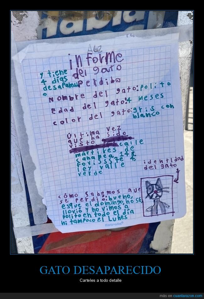 gato,desaparecido,absurdo,cartel,vecindario