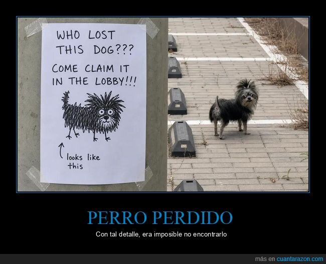 perro,perdido,cartel,humor,mascotas