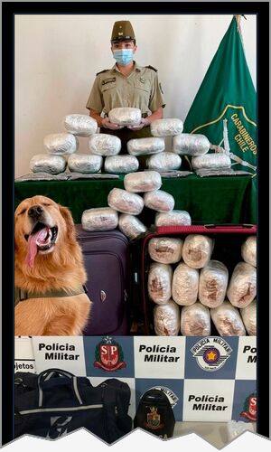 Mejor cartel de ayer