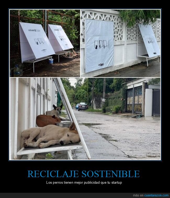 reciclaje,Tailandia,perros,sostenibilidad,refugio