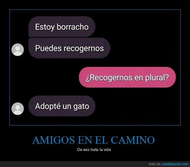 amistad,abandono,mascotas,prioridades,borrachera