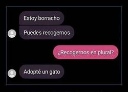 Enlace a Un gatito perdido nunca se puede abandonar