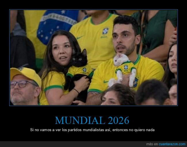 Mundial,Brasil,Gato,Hincha,Estadio