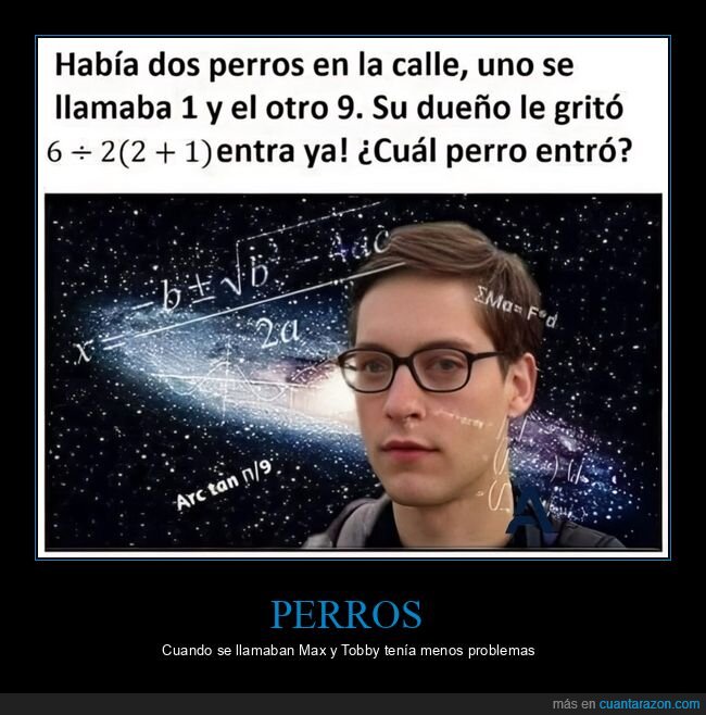 matem&aacute;ticas,perros,operaciones,l&oacute;gica,acertijo