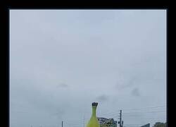 Enlace a El bananamóvil