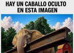 Enlace a Nivel: fácil