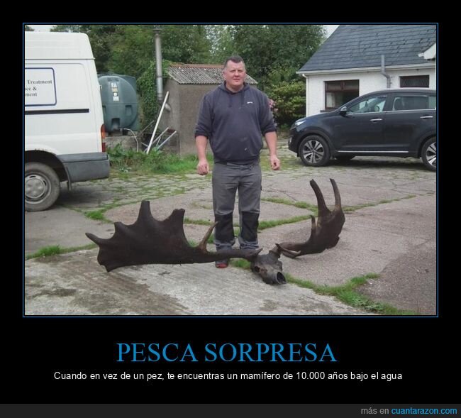 arqueolog&iacute;a,pesca,extinci&oacute;n,hallazgo,absurdo