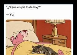 Enlace a Sigue en la cama, campeón