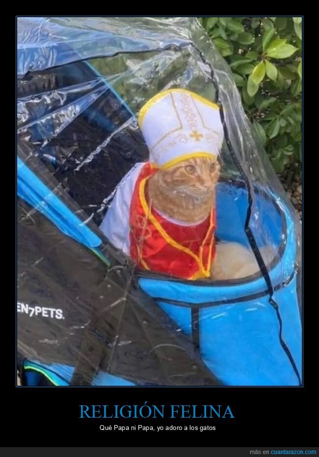 Gatolicismo,Religi&oacute;n,Mascotas,Parodia,Absurdo