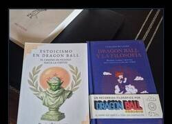 Enlace a Con estos libros hubiese sacado matrícula de honor