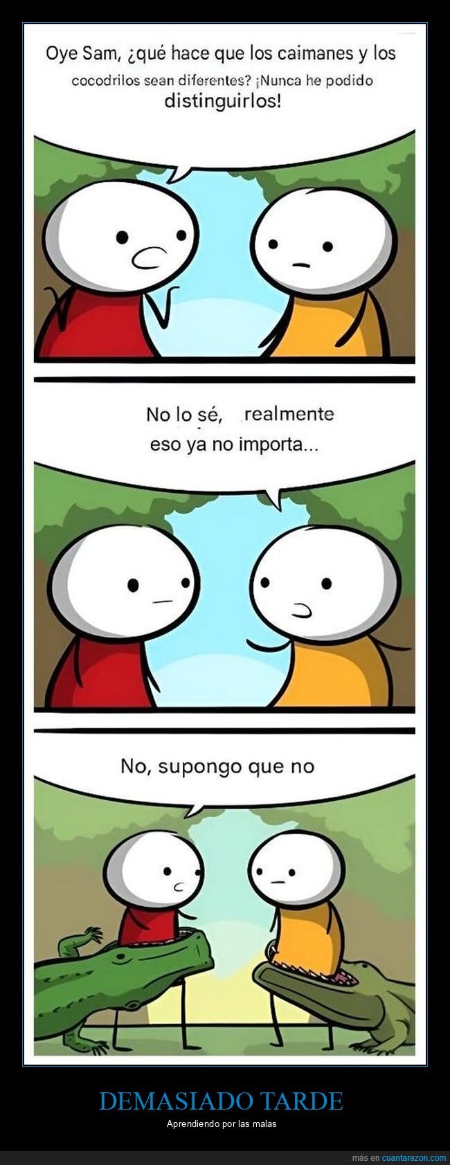 cocodrilos,caimanes,naturaleza,lecciones,supervivencia