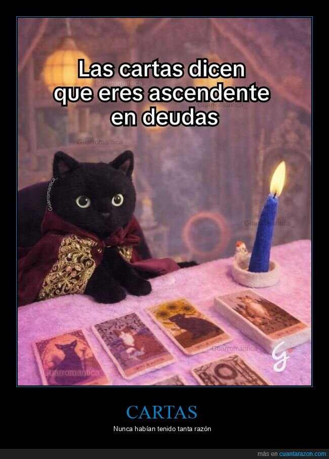 tarot,deudas,dinero,gato,predicci&oacute;n