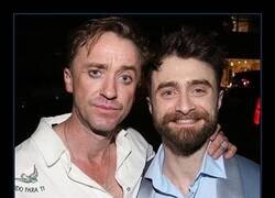 Enlace a Daniel Radcliffe y Tom Felton se vieron de nuevo ayer. Lo mejor que verás hoy