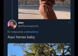 Enlace a Pide ayuda en twitter y le trolean hasta el fondo