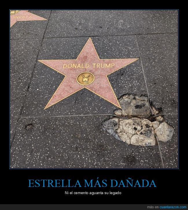 Hollywood,estrella,da&ntilde;o,pavimento,celebridad