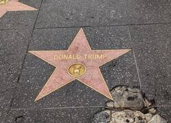 Enlace a  La estrella más vandalizada de Hollywood