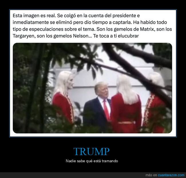 pol&iacute;tico,gemelos,conspiraci&oacute;n,absurdo,viral