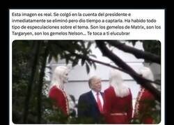Enlace a ¿Esto qué diablos fue?