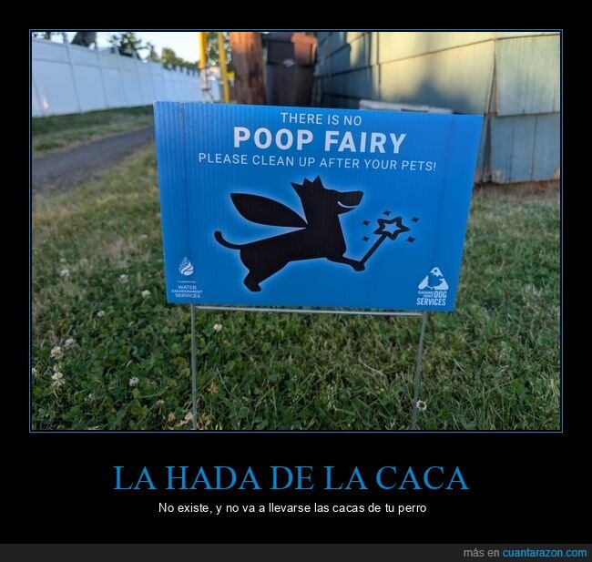 perros,responsabilidad,realidad,limpieza,mascotas