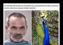Enlace a De pavo real a pavo de olla en tres pasos