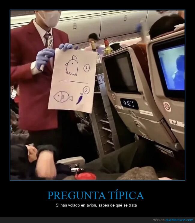 aviaci&oacute;n,turbulencia,improvisaci&oacute;n,confianza,pasajeros,pollo o pescado,avion,comida