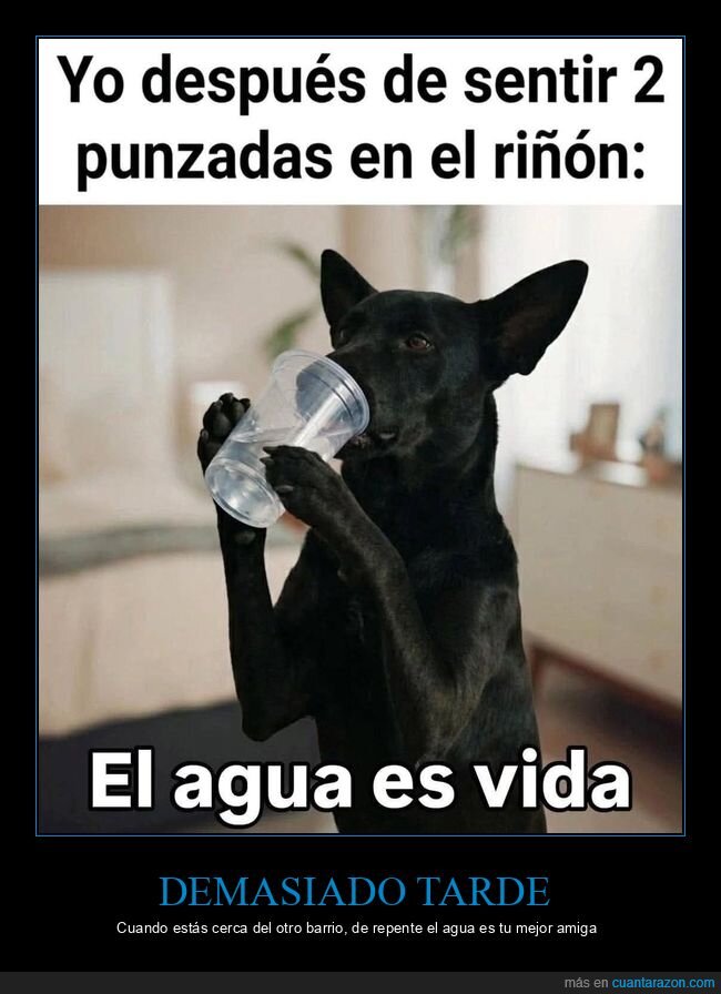 ri&ntilde;ones,agua,salud,dramatismo,hidrataci&oacute;n