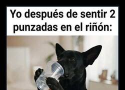Enlace a El riñón ya no negocia