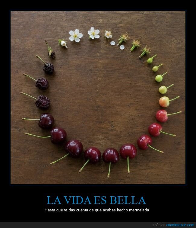 cerezas,naturaleza,degradaci&oacute;n,ciclo,inevitabilidad