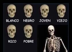 Enlace a Todos acabaremos igual