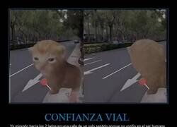 Enlace a Prudencia de Gato