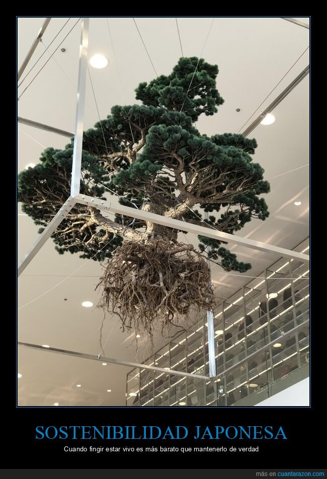 Jap&oacute;n,plantas,artificialidad,decoraci&oacute;n,desenga&ntilde;o