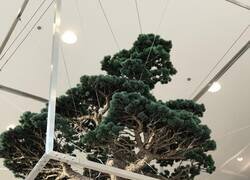 Enlace a  Un pino muerto suspendido con folIaje artificial visto en Japón