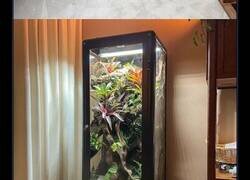 Enlace a 32 Personas que transformaron sus hogares con brillantes ideas de decoración