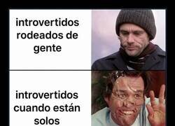 Enlace a Introvertidos: maestros de la contradicción