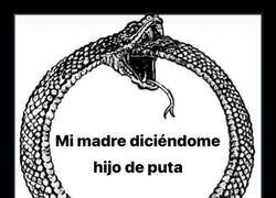 Enlace a Mi madre insultándome es la pescadilla que se muerde la cola