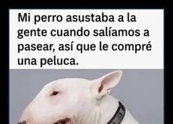 Enlace a Por dentro sigue siendo la misma bestia