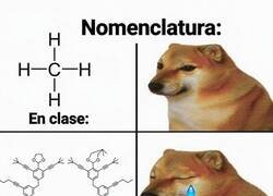 Enlace a La nomenclatura te abandona en el examen