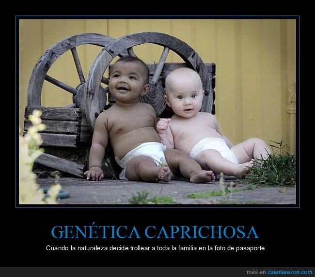 gen&eacute;tica,hermanas,diversidad,sorpresa,naturaleza