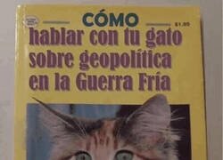 Enlace a El gato ya se aburrió de la Guerra Fría