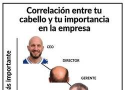 Enlace a Calvicie inversamente proporcional