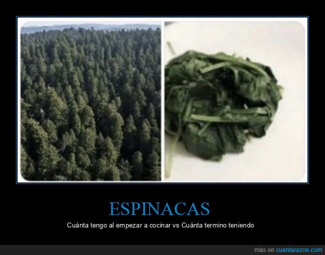 espinacas,cocina,contracci&oacute;n,decepciones,verduras