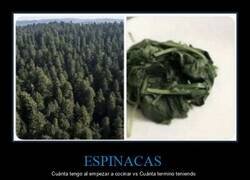 Enlace a La espinaca: ilusionista profesional