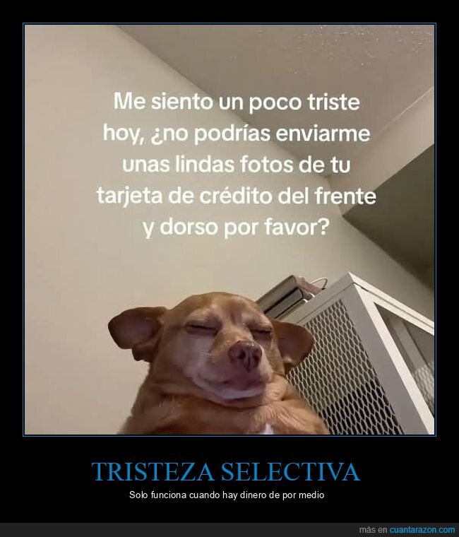 estafa,manipulaci&oacute;n,perro,dinero,trucos