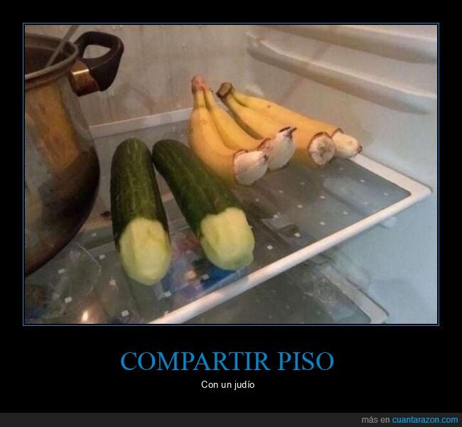 convivencia,piso,nevera,desorden,compatibilidad