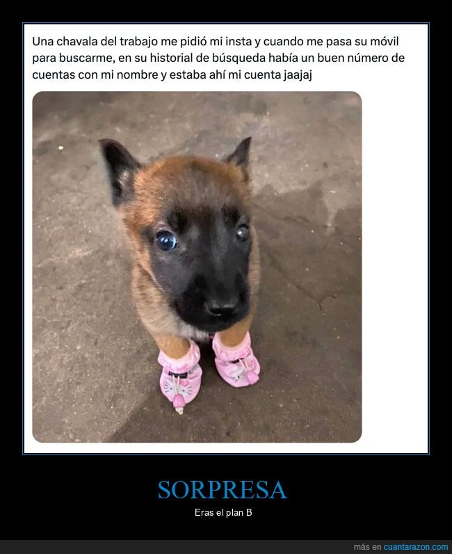 stalking,Instagram,b&uacute;squedas,obsesi&oacute;n,compa&ntilde;ero