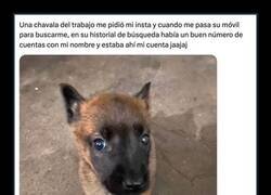 Enlace a Ya ni se molestan en disimular