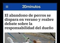 Enlace a Un perro no es un accesorio que abandonar cuando te vas de vacaciones, ni para posturear, es un animal que depende de ti 100% y del que hay que hacerse responsable