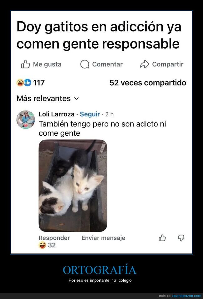 gatos,adicci&oacute;n,mascotas,responsabilidad,basura